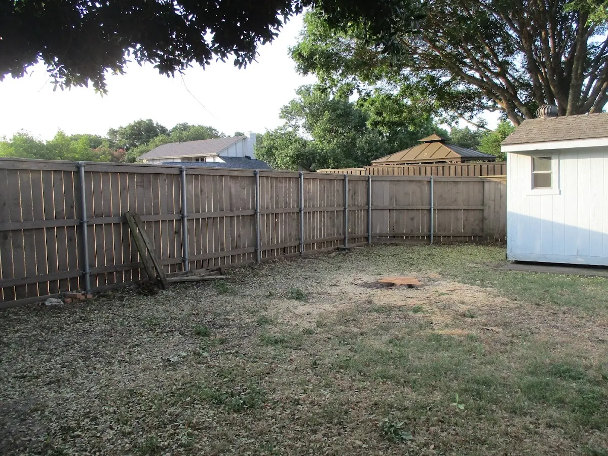 Cleared yard after professional tree removal in Auburn